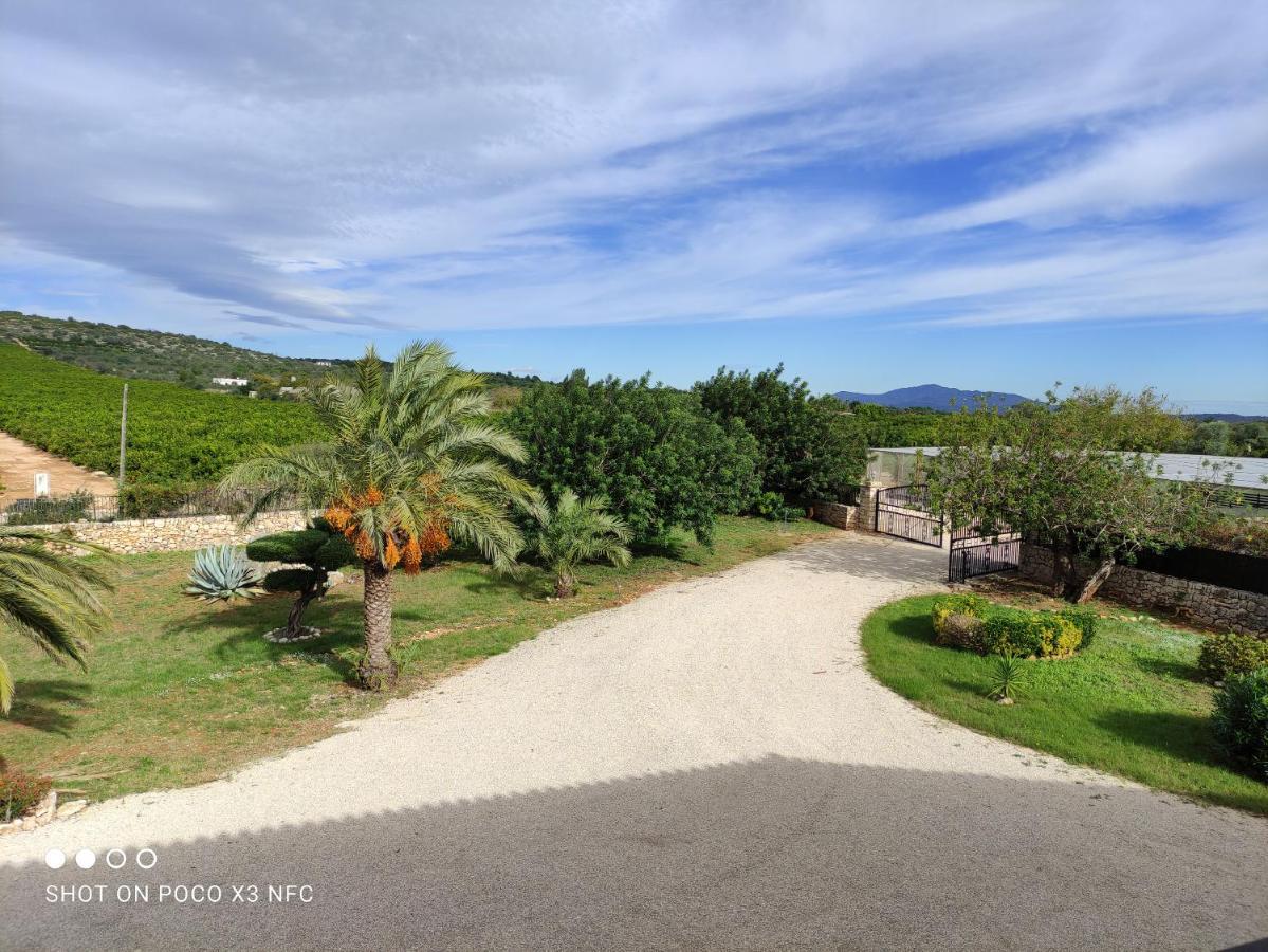 Finca Tierra Roja Calig Bagian luar foto